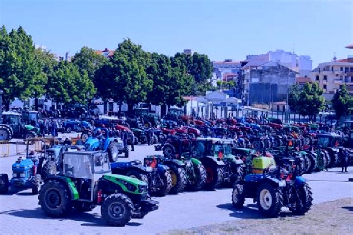 escort Macedo de Cavaleiros