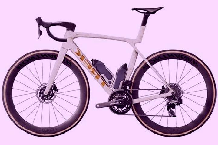 escort Madone