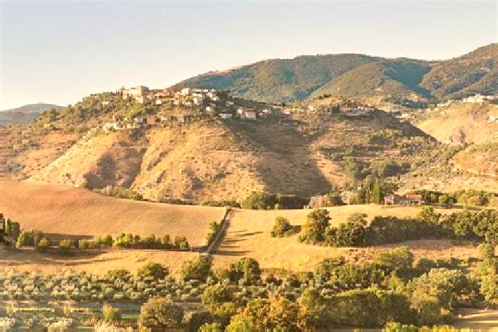 escort Magliano Sabina