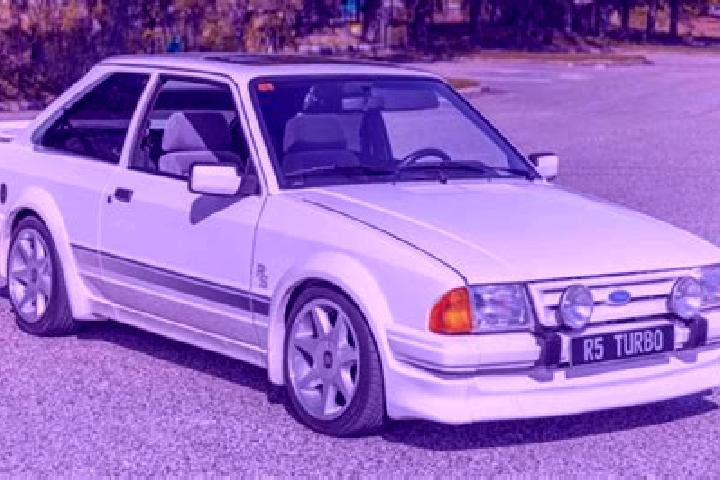 escort Magpet