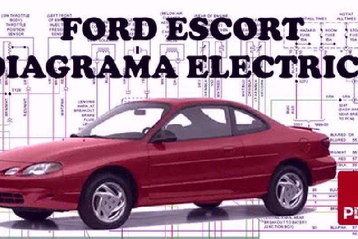 escort Magreta