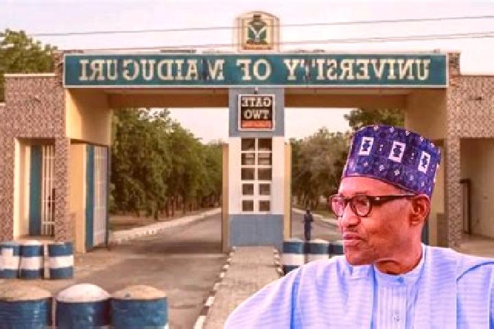 escort Maiduguri