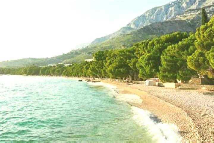 escort Makarska