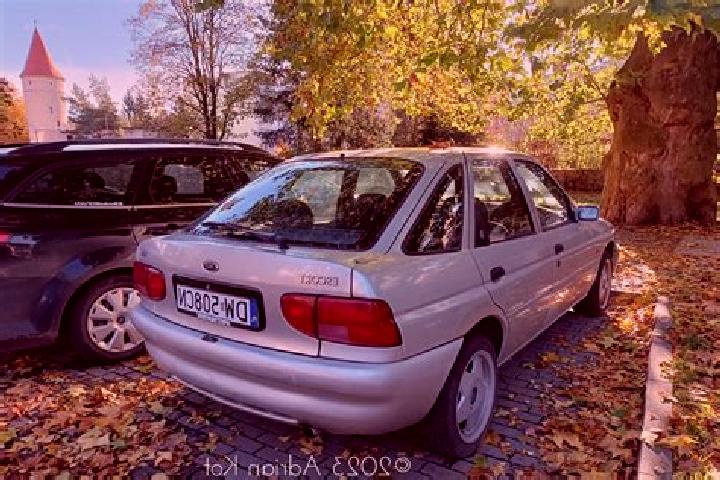 escort Malayinkeezhu