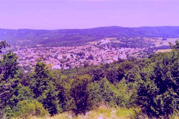 escort Malko Tarnovo
