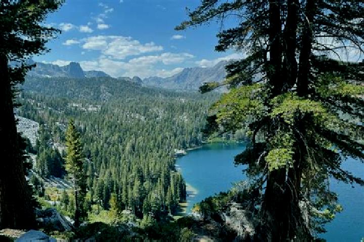 escort Mammoth Lakes