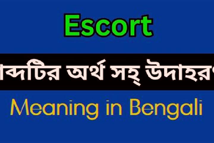 escort Mane