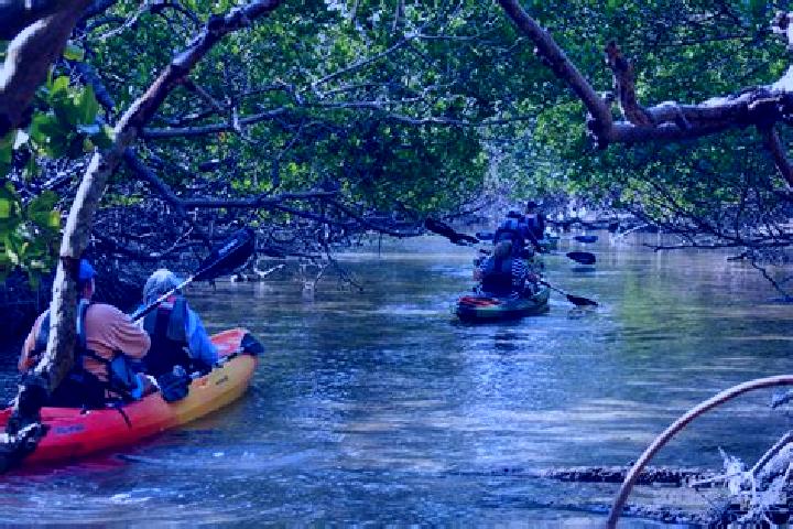 escort Mangrove Bay