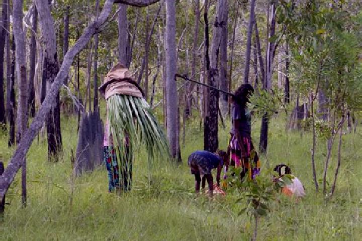 escort Maningrida