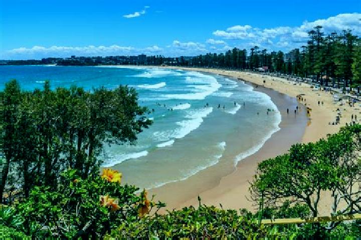 escort Manly