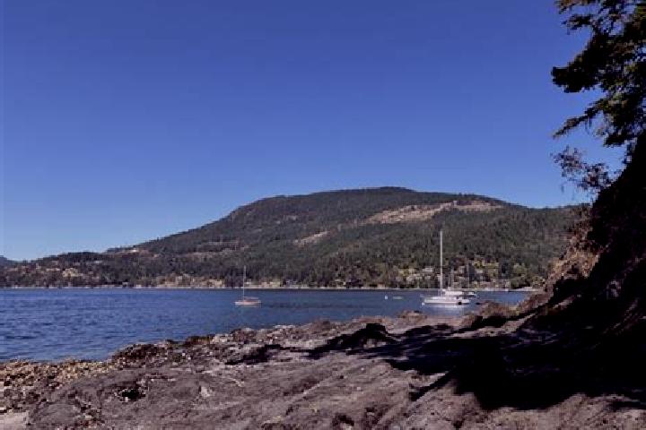escort Maple Bay
