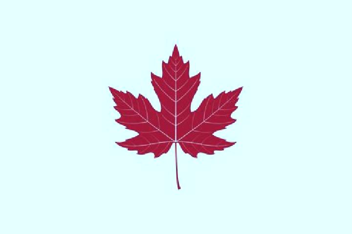 escort Maple Leaf