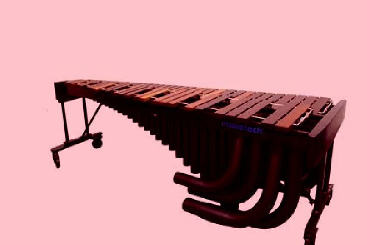 escort Marimba