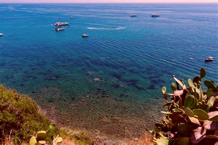 escort Marina di Casal Velino