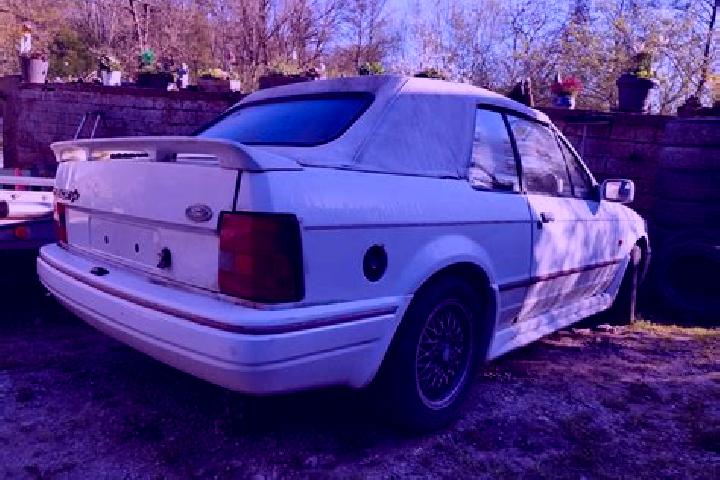 escort Marktheidenfeld