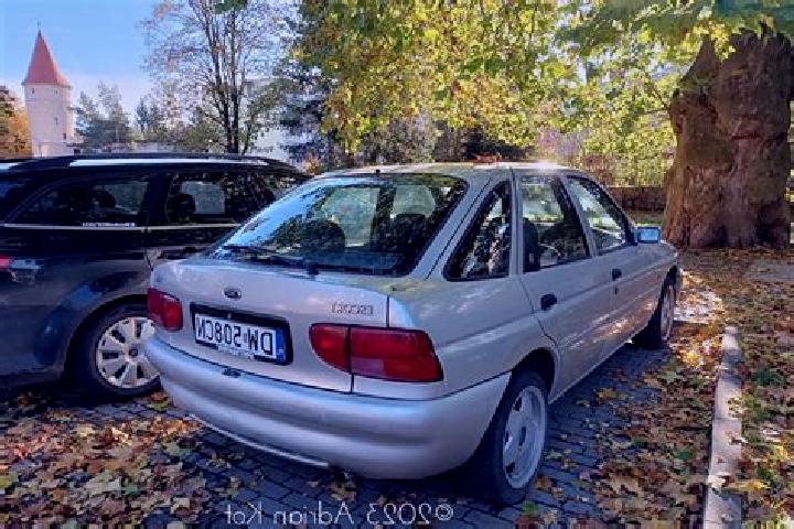 escort Markusy