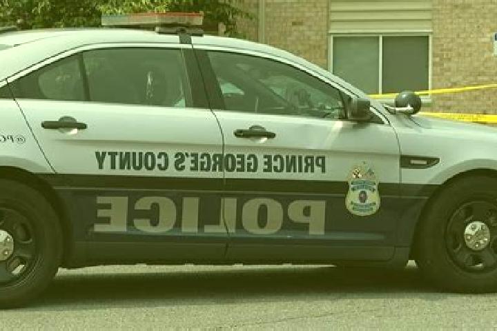 escort Maryland