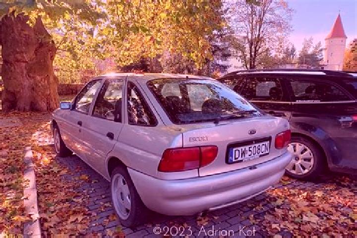 escort Marzanesti