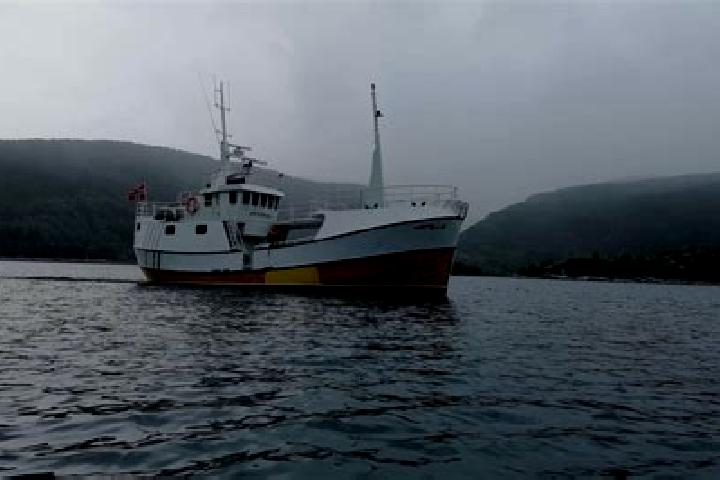 escort Masfjorden