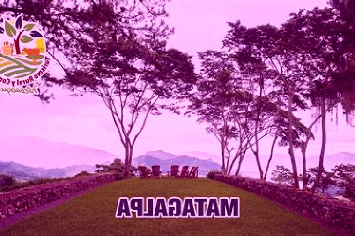 escort Matagalpa