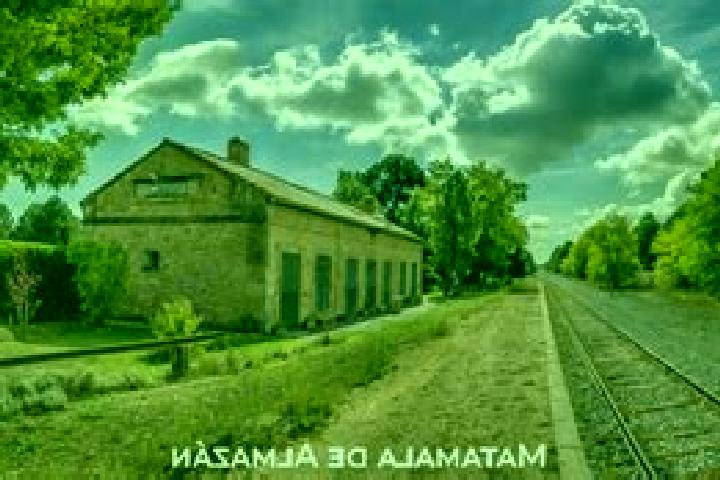 escort Matamala de Almazan