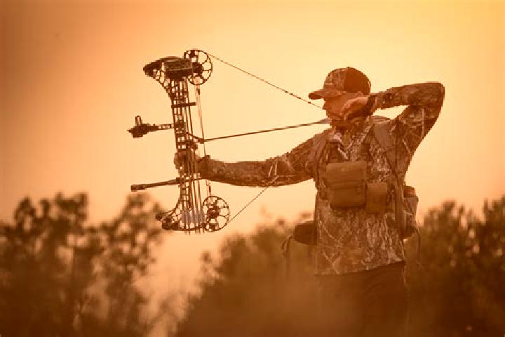 escort Mathews