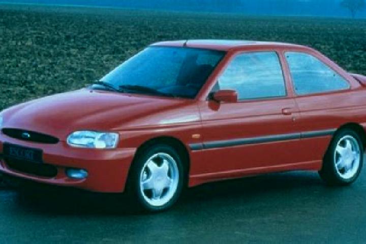 escort Maulette