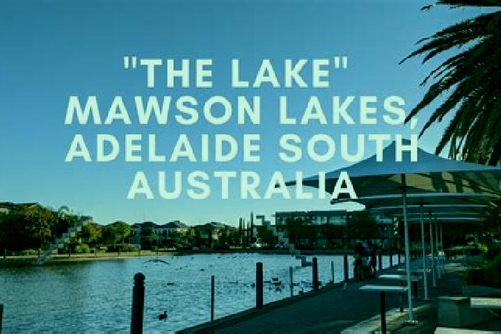 escort Mawson Lakes