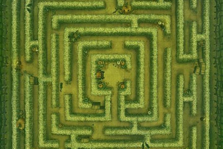 escort Maze