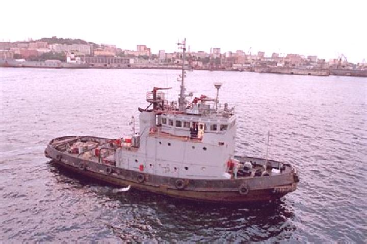 escort McClusky