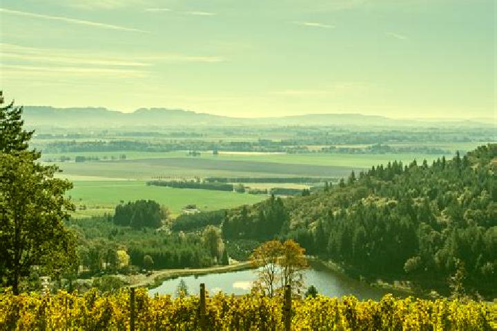 escort McMinnville