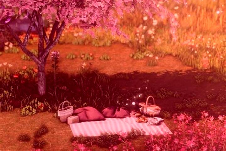 escort Meadow Glade