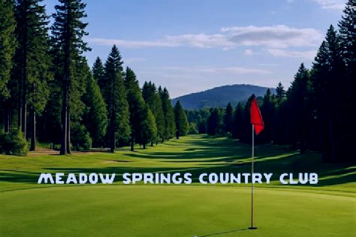 escort Meadow Springs