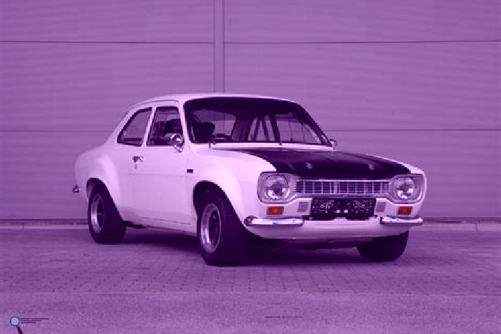 escort Medanitos
