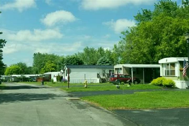 escort Medina Estates