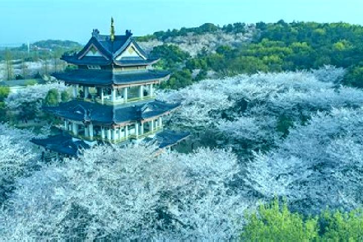 escort Meiyuan Xincun