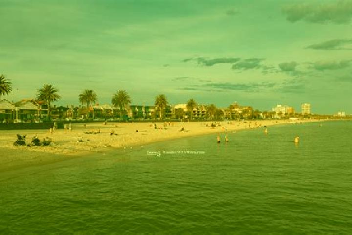escort Melbourne Beach