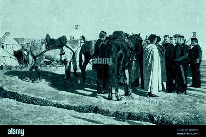escort Melilla