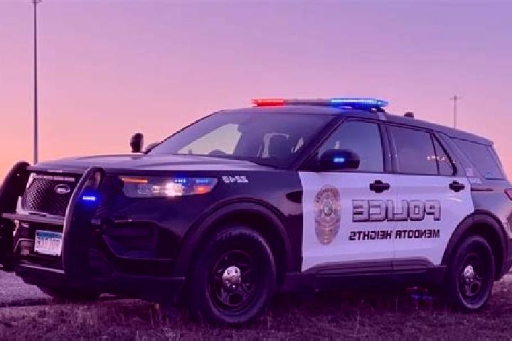 escort Mendota Heights