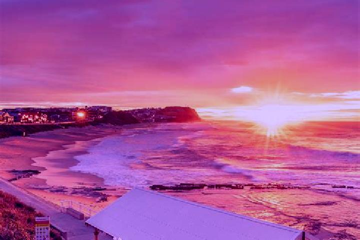 escort Merewether