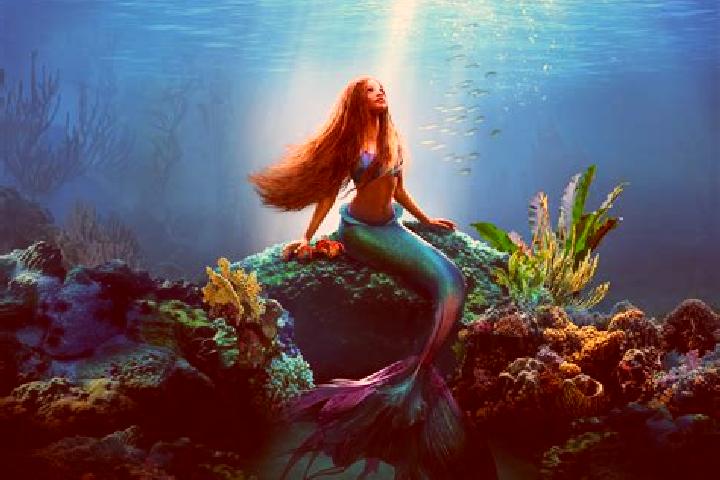 escort Mermaid