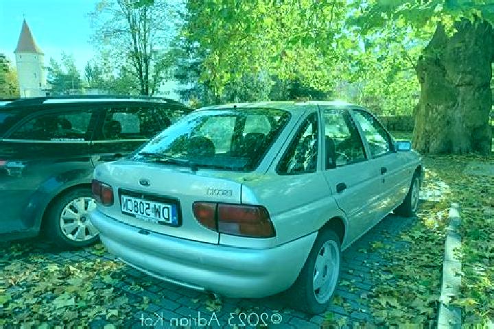 escort Merweville