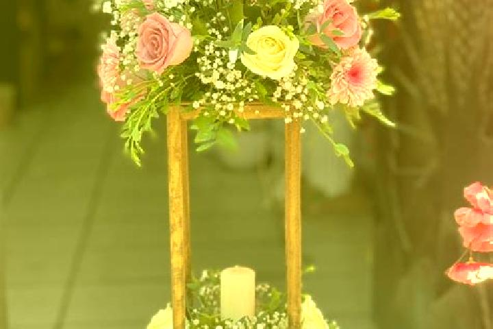 escort Mesa de Flores