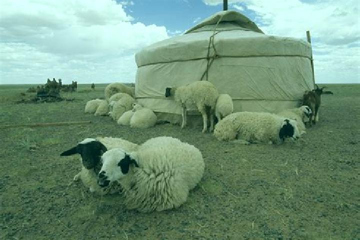 escort Mesker-Yurt