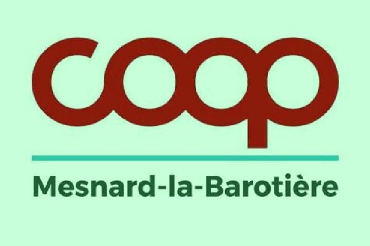 escort Mesnard-la-Barotiere