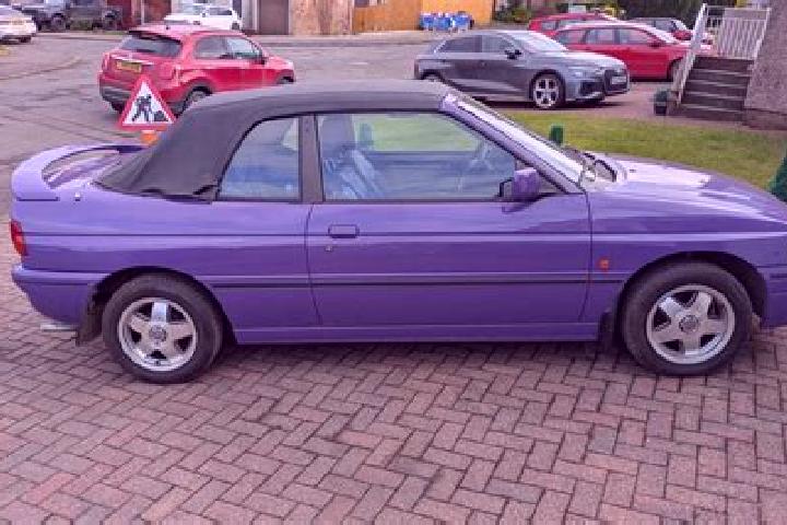 escort Mestecko