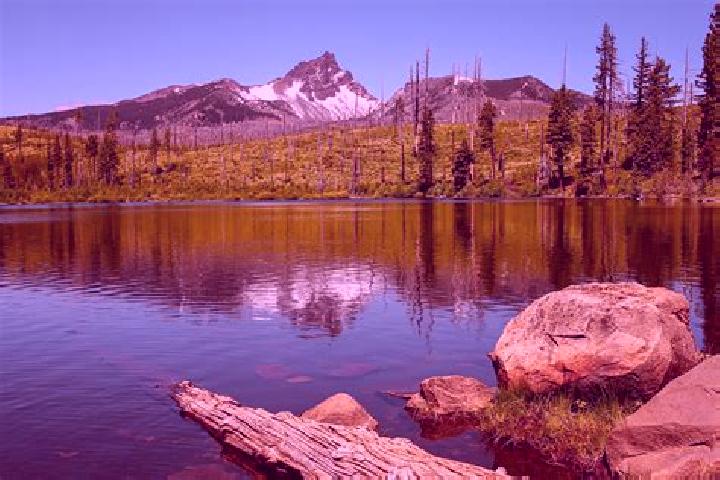 escort Metolius