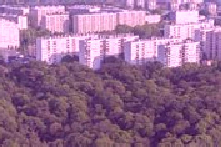 escort Meudon-la-Foret