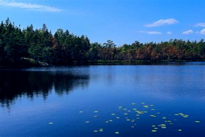 escort Meyers Lake