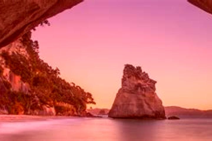 escort Middle Cove